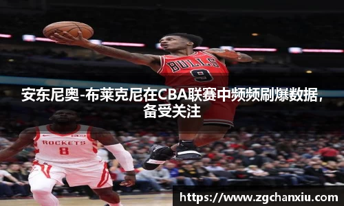 必博BIBO官网