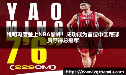 必博BIBO网址