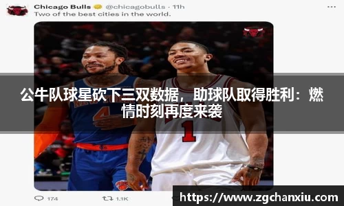 必博BIBO官网