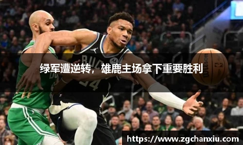 必博BIBO官网