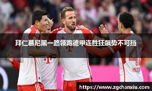 必博BIBO官网