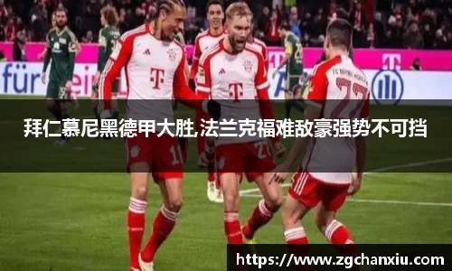 必博BIBO