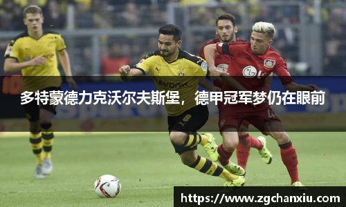 必博BIBO官网