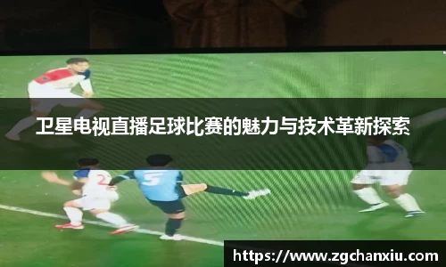 必博BIBO